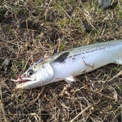 リーダーがズタズタに